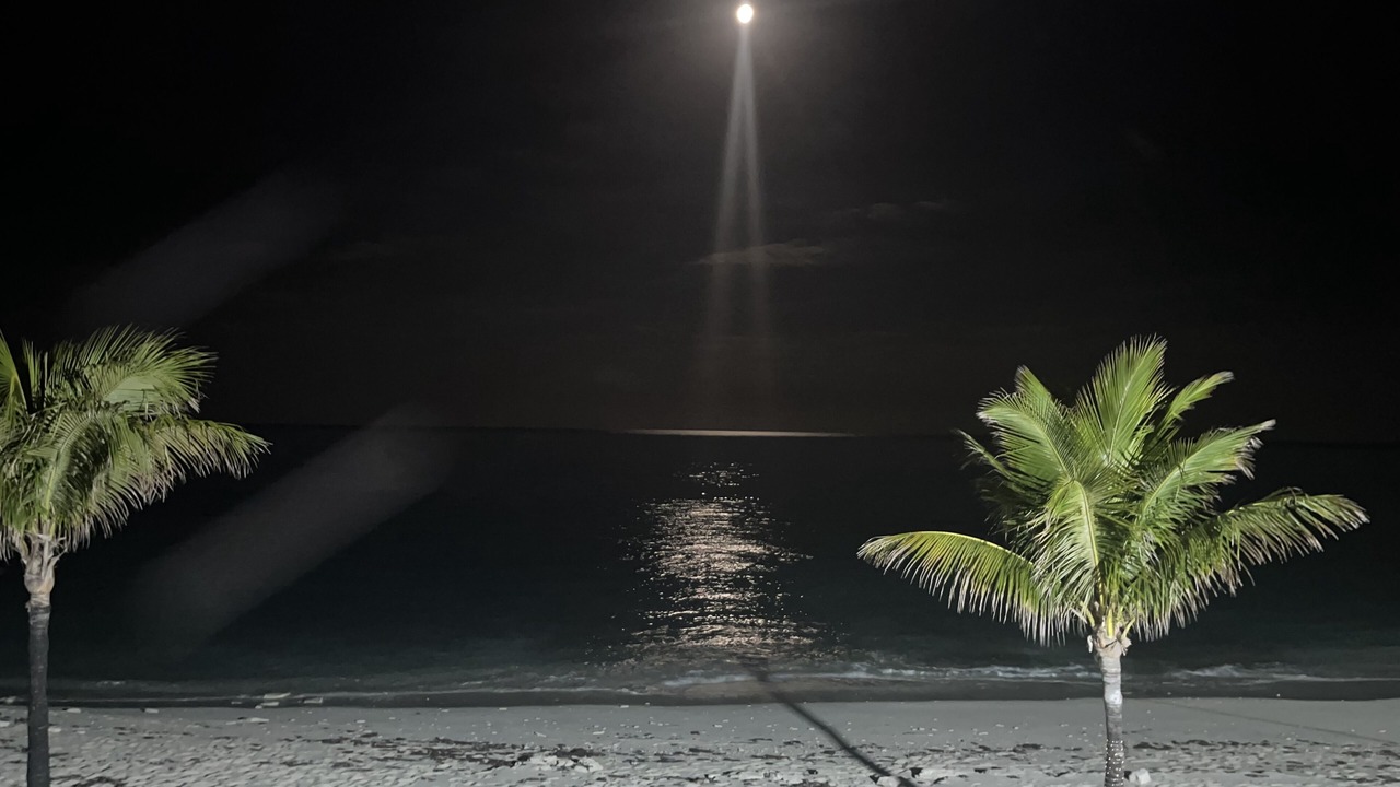 Photo of Outdoor in South Bimini