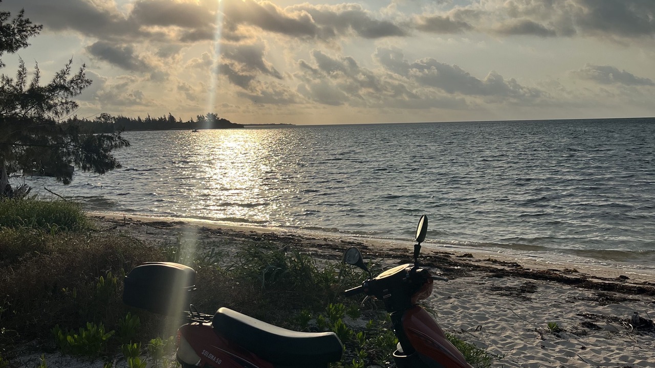 Photo of Others in South Bimini