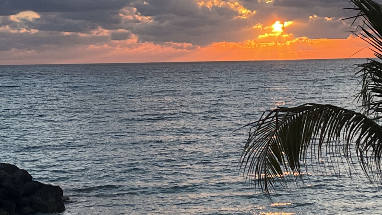 Photo of Others in South Bimini