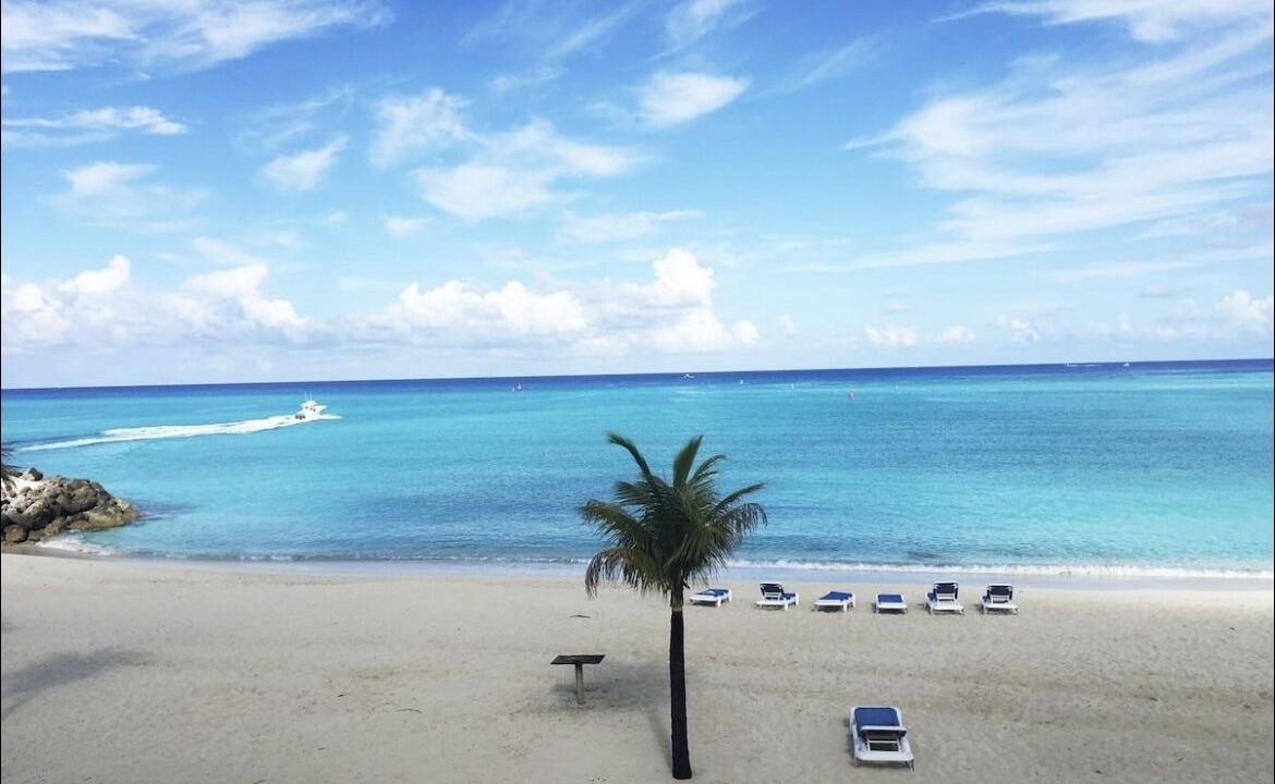 Photo of Others in South Bimini