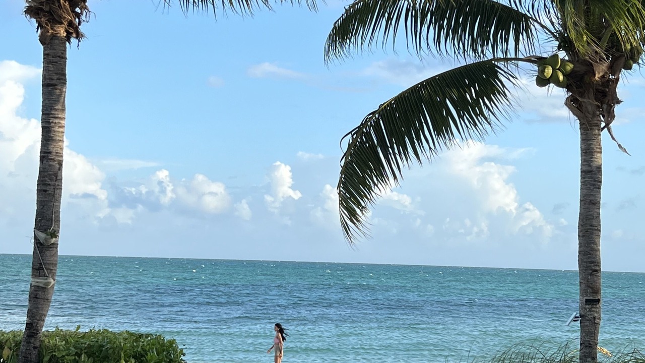 Photo of Others in Palm Cay