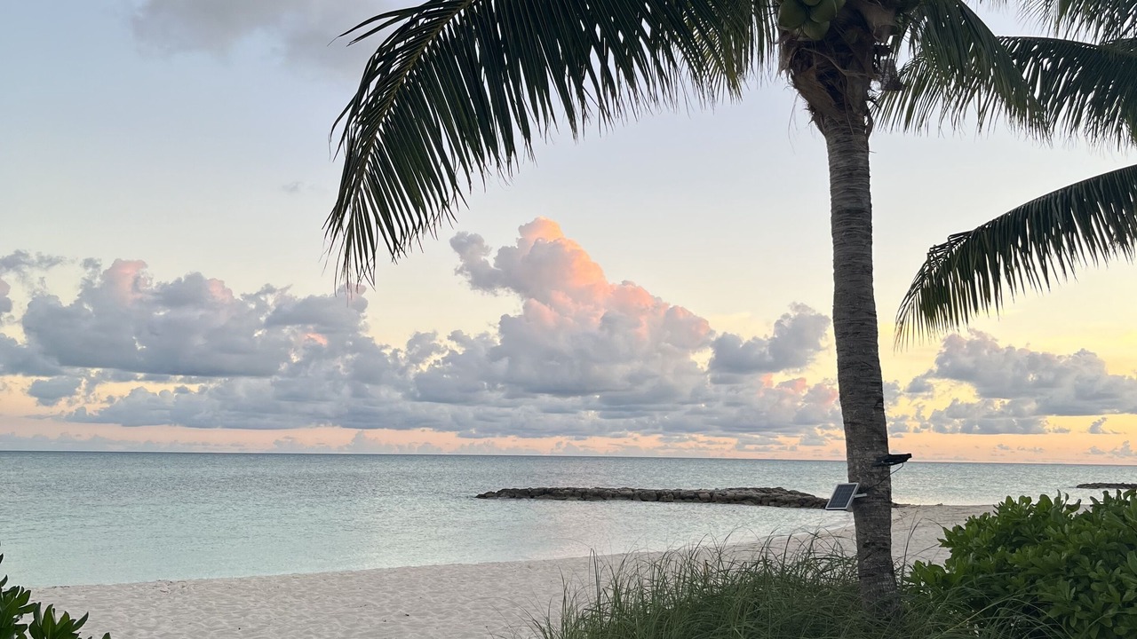 Photo of Others in Palm Cay