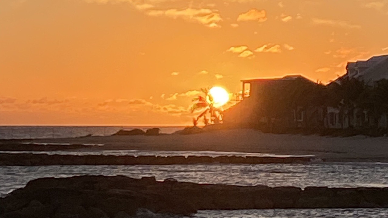 Photo of Others in Palm Cay