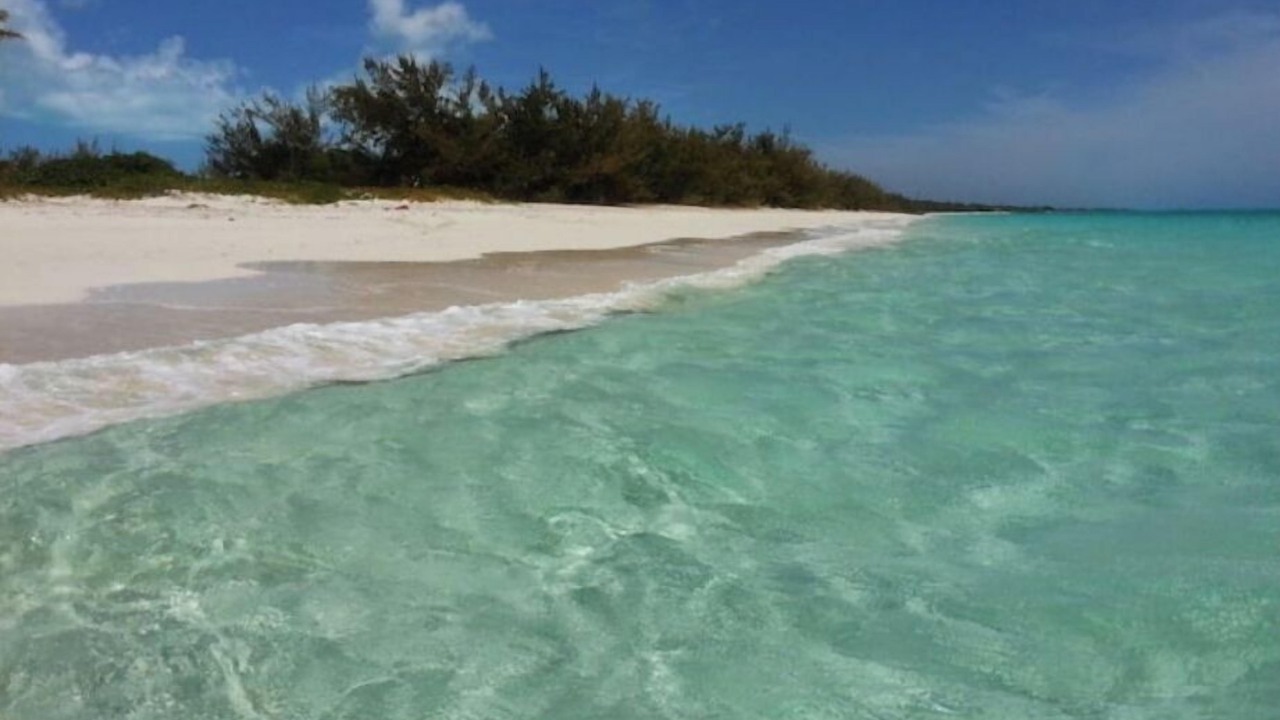 Photo of Others in Nassau