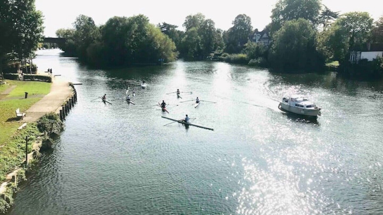 Photo of Others in Maidenhead