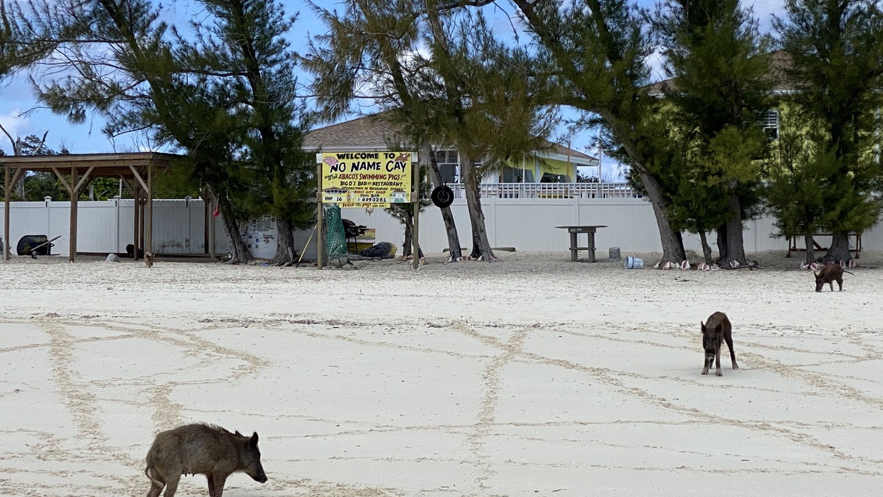 Photo of Others in Treasure Cay