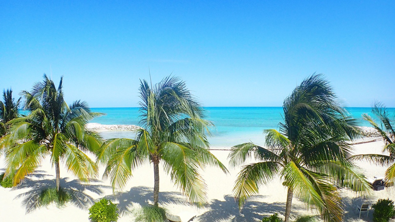 Photo of Others in Palm Cay