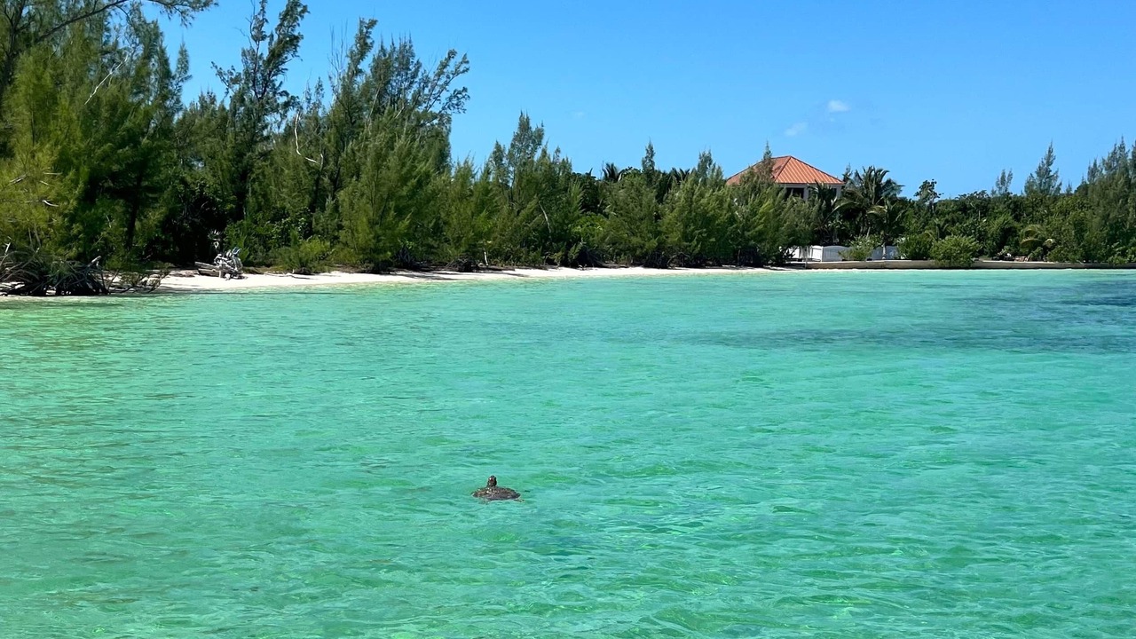 Photo of Others in Green Turtle Cay