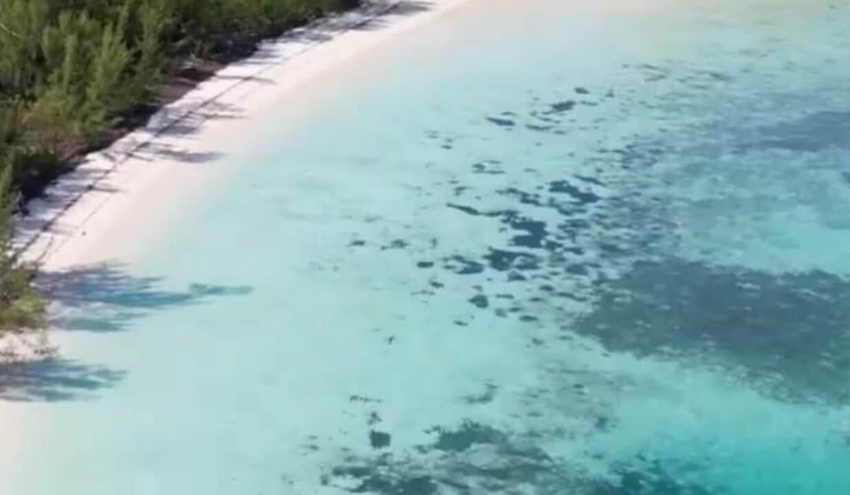 Photo of Others in Green Turtle Cay
