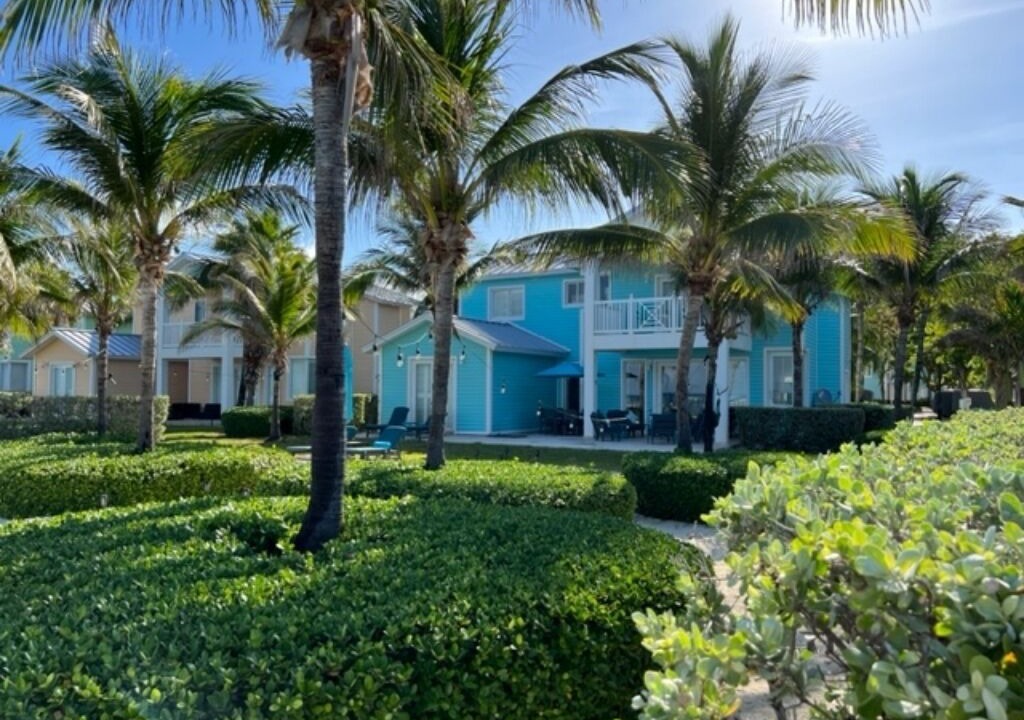 Photo of Outdoor in Alice Town