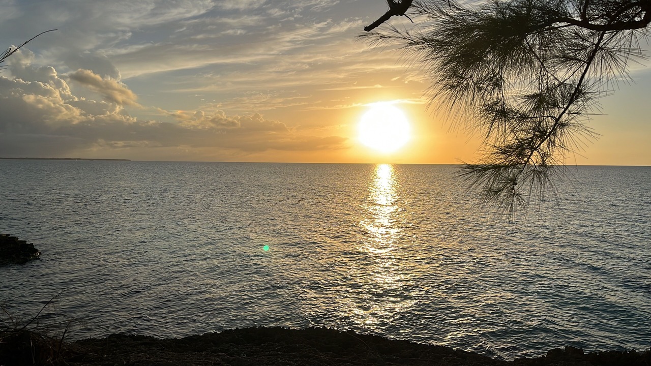 Photo of Others in Tarpum Bay
