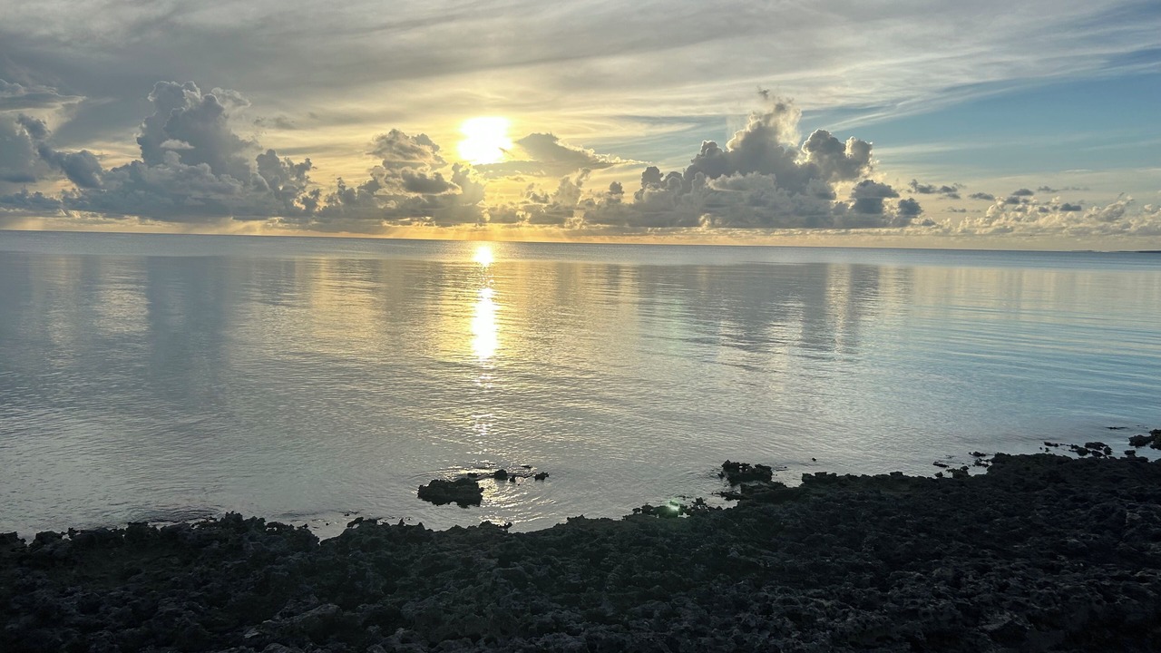 Photo of Others in Tarpum Bay