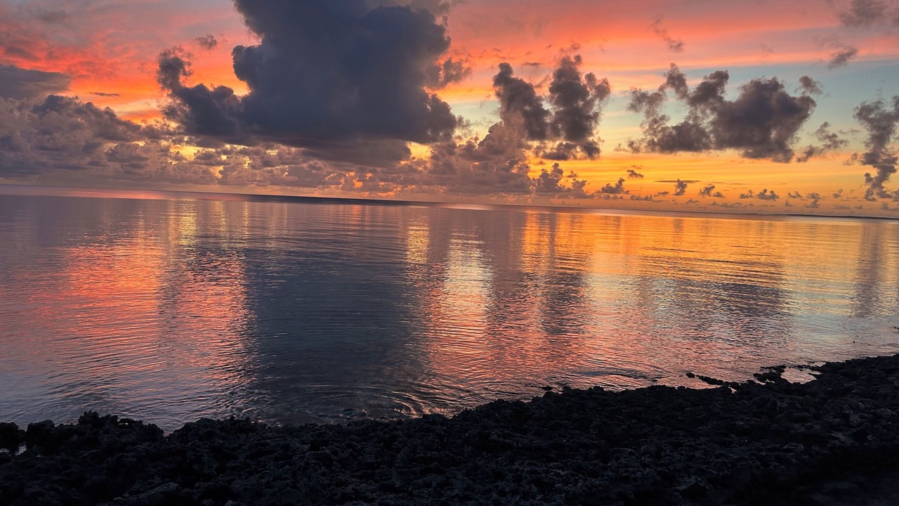Photo of Others in Tarpum Bay