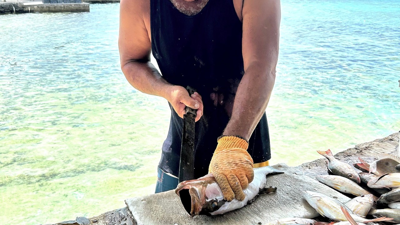 Photo of Outdoor in Tarpum Bay