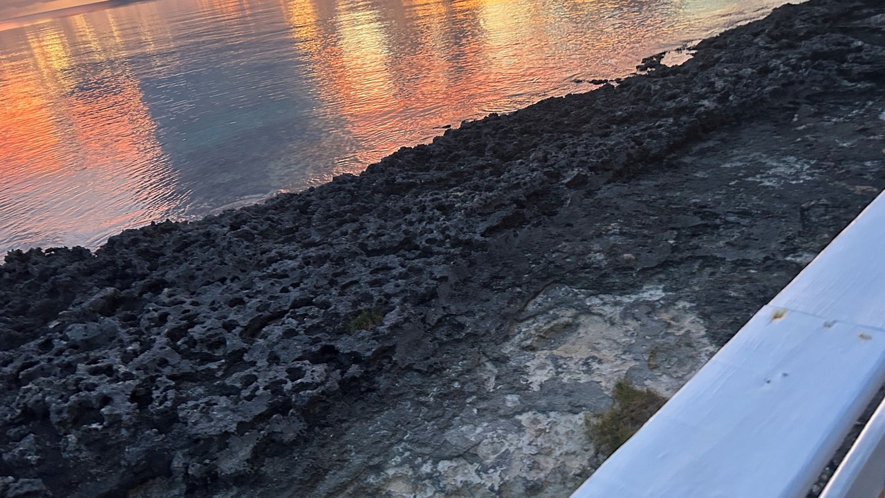 Photo of Others in Tarpum Bay