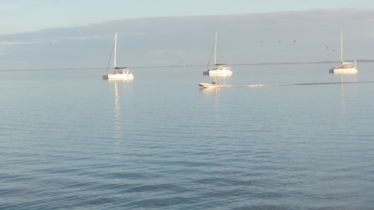 Photo of Others in Tarpum Bay