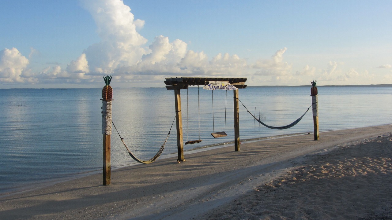 Photo of Others in Tarpum Bay