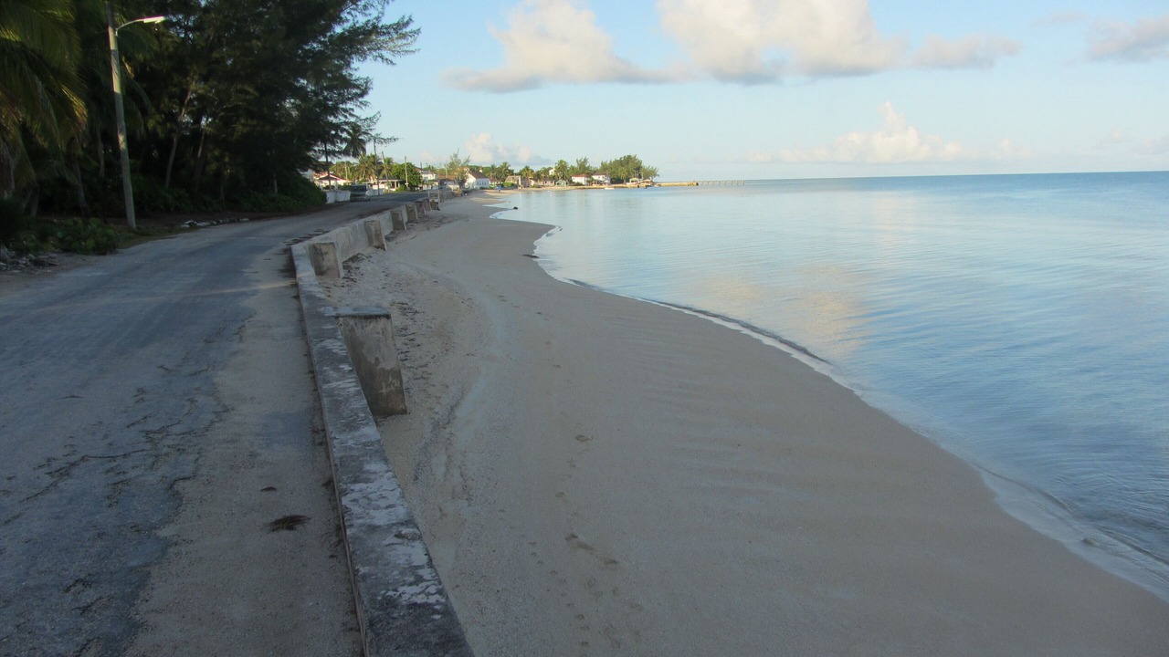 Photo of Others in Tarpum Bay