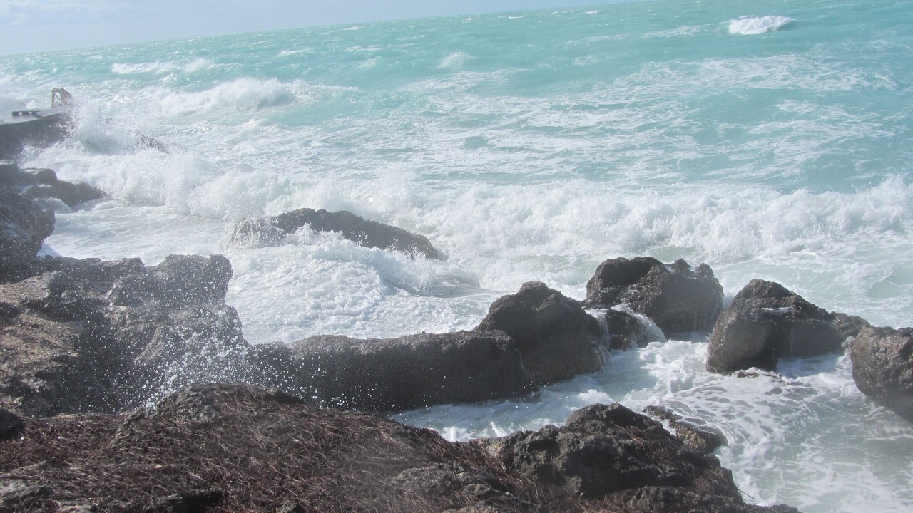 Photo of Outdoor in Tarpum Bay