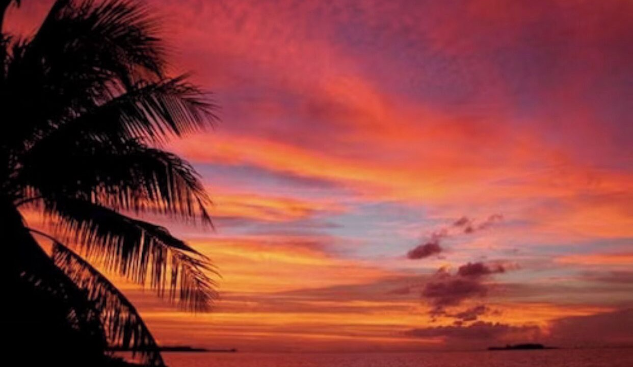 Photo of Others in Nassau