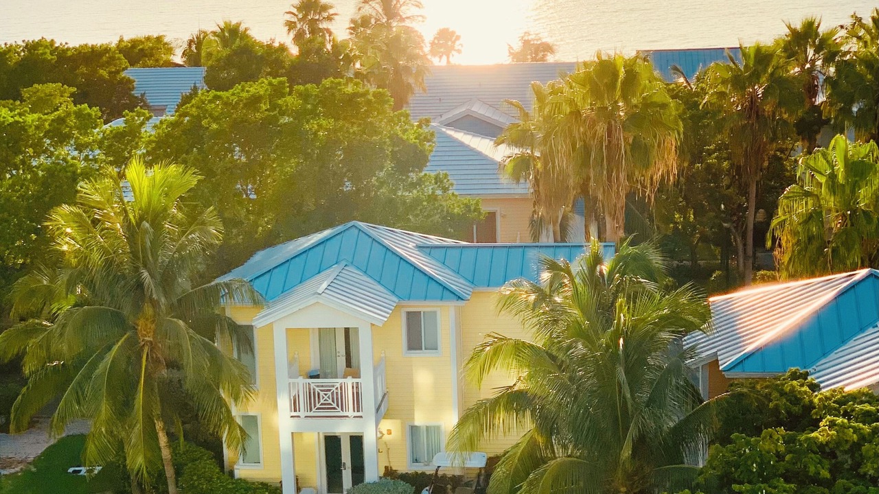 Photo of Outdoor in Alice Town