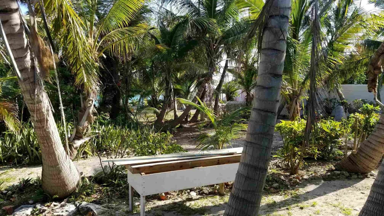 Photo of Outdoor in Andros Town