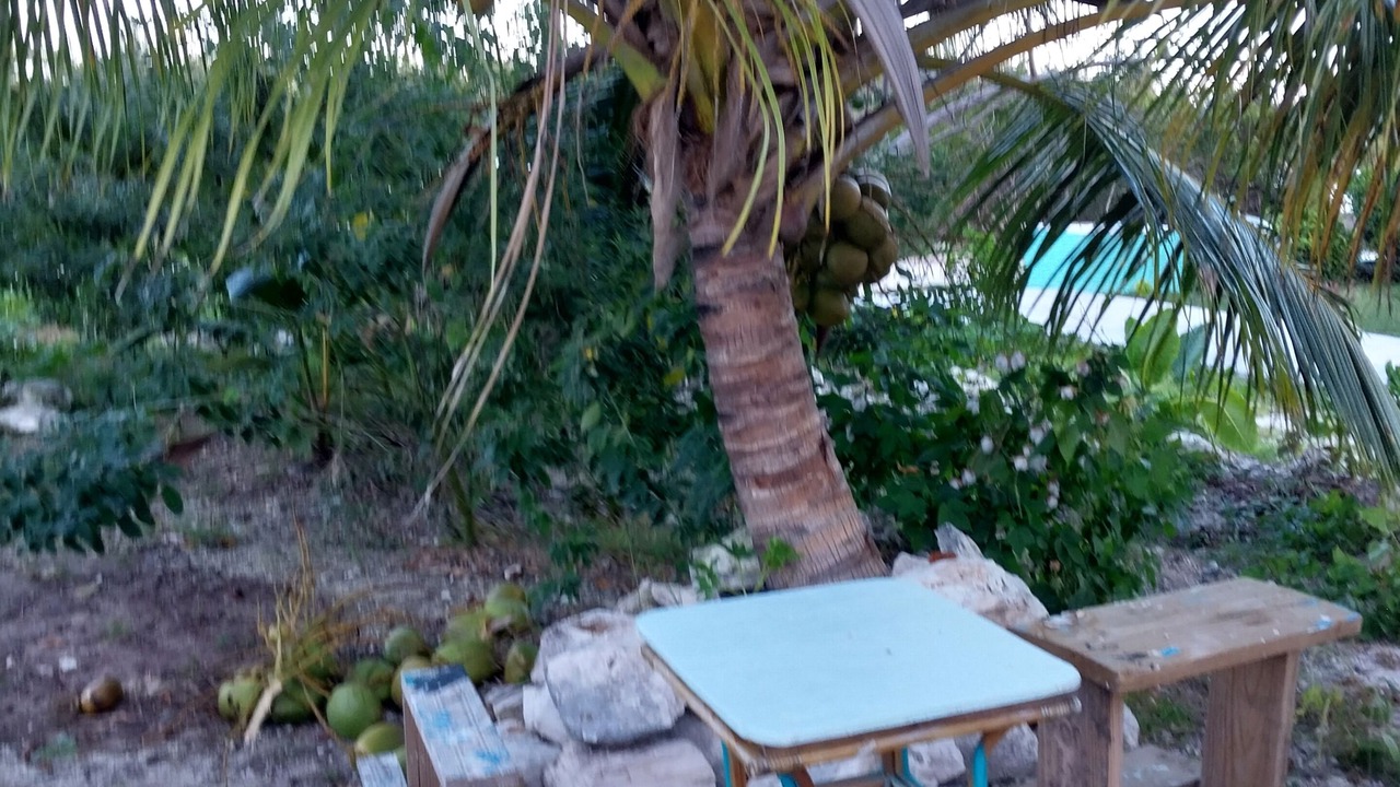Photo of Outdoor in Tar Bay