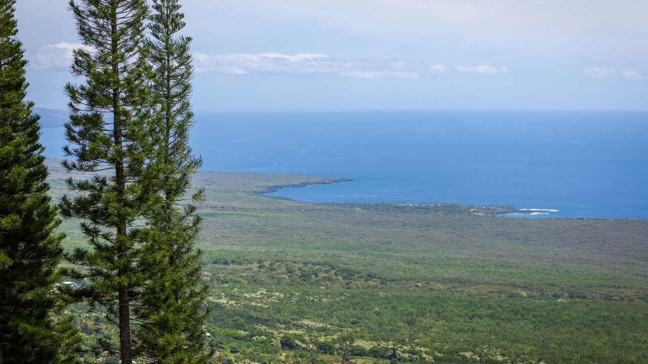 Photo of Outdoor in Honaunau-Napoopoo
