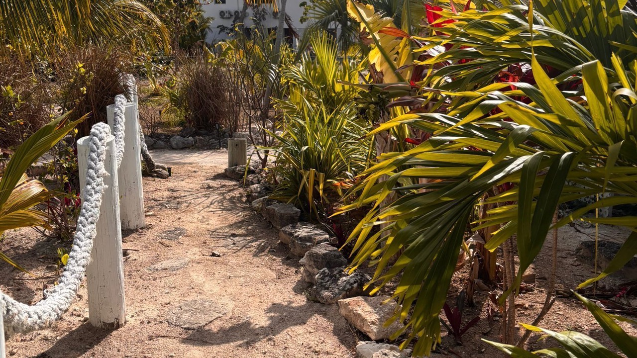 Photo of Outdoor in Treasure Cay
