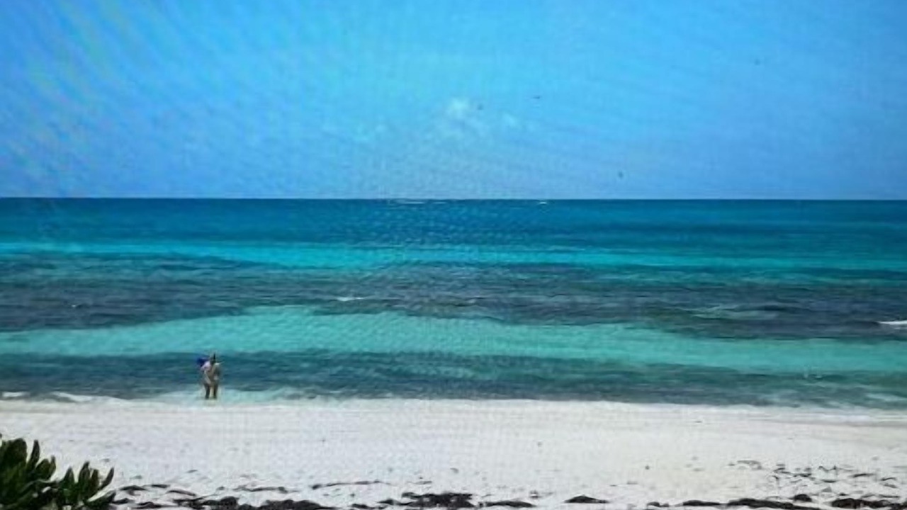 Photo of Others in Man O War Cay