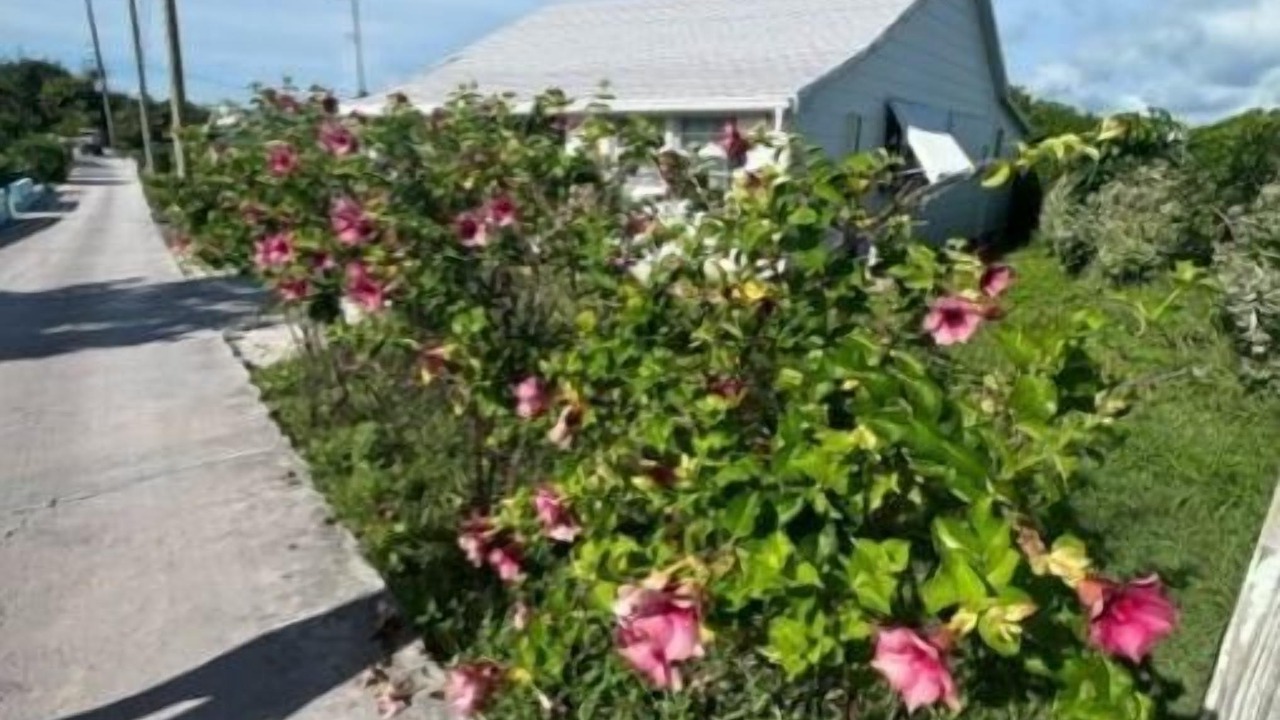 Photo of Outdoor in Man O War Cay