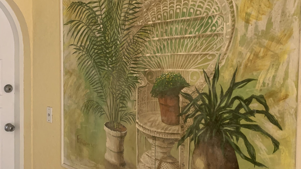 Photo of Outdoor in Paradise Island