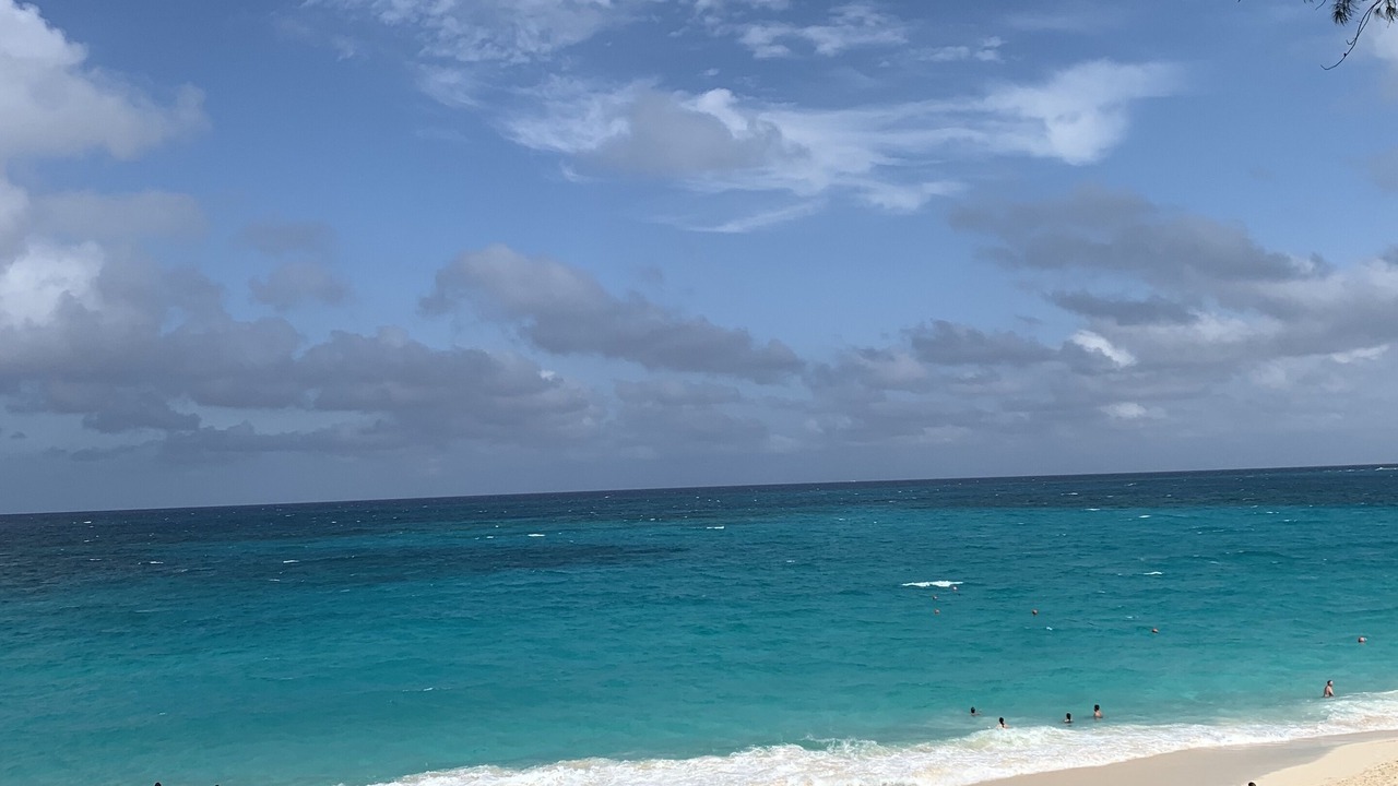 Photo of Others in Paradise Island