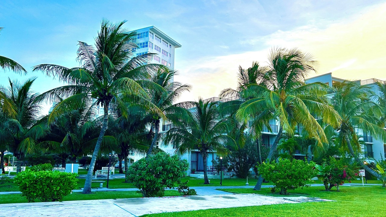 Photo of Outdoor in Williams Town