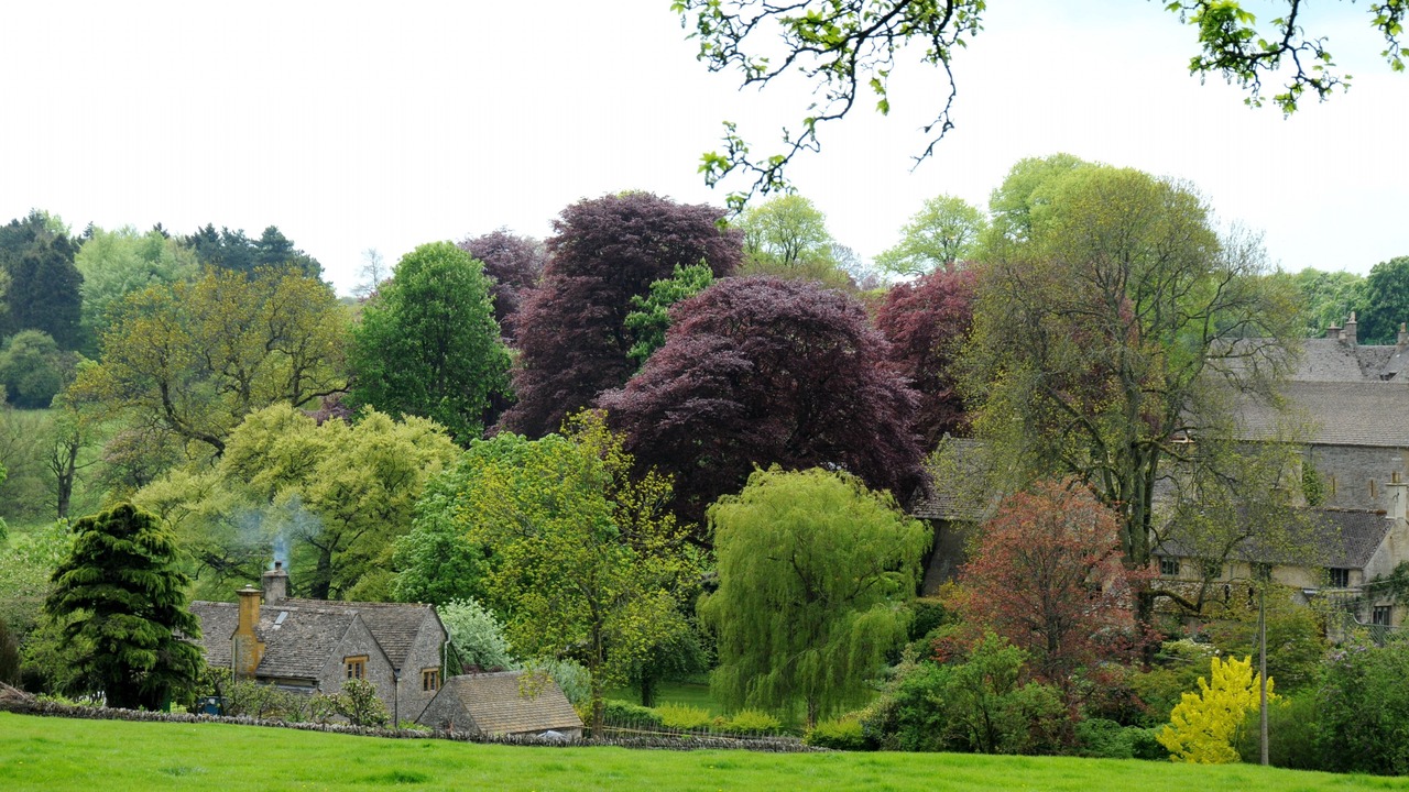 Photo of Outdoor in Bourton