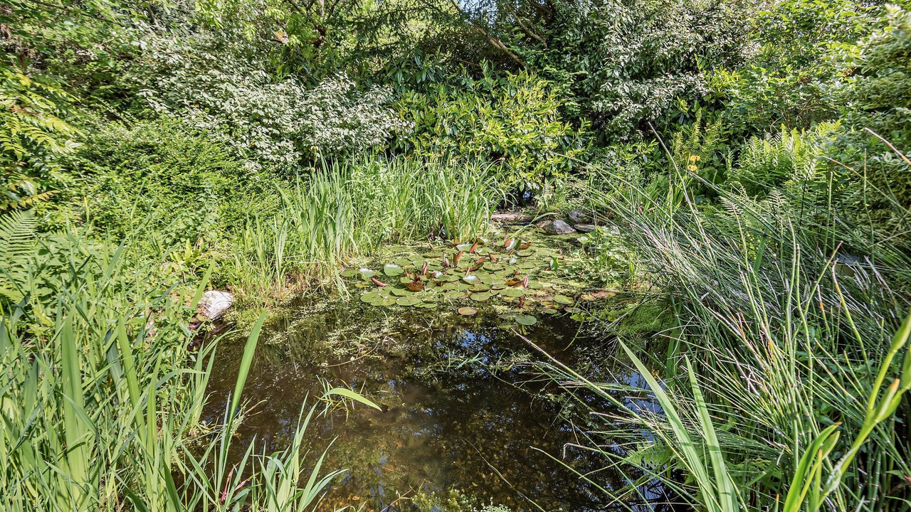 Photo of Others in New Forest District