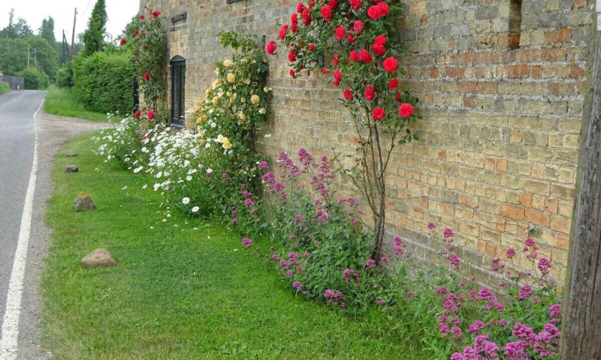Photo of Outdoor in Cambridge