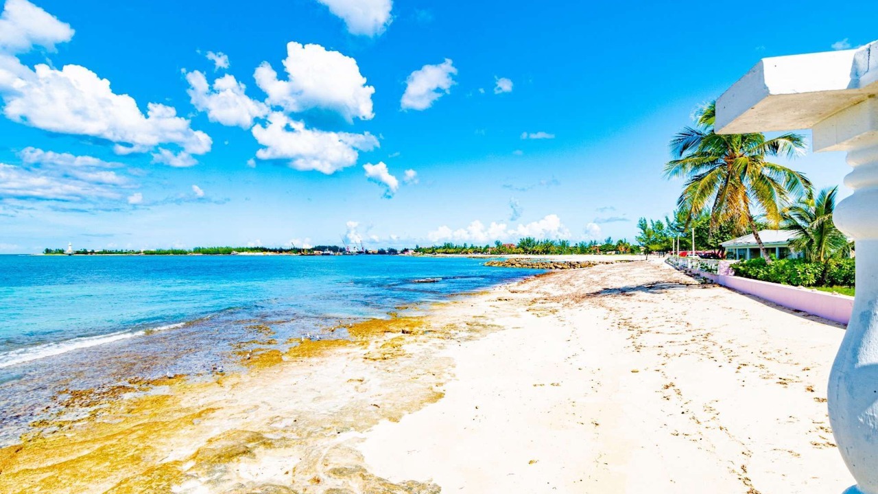 Photo of Others in Nassau