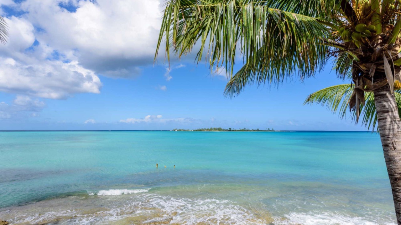Photo of Others in Nassau