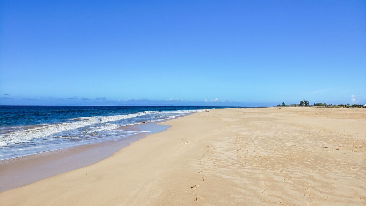 Photo of Others in Kekaha