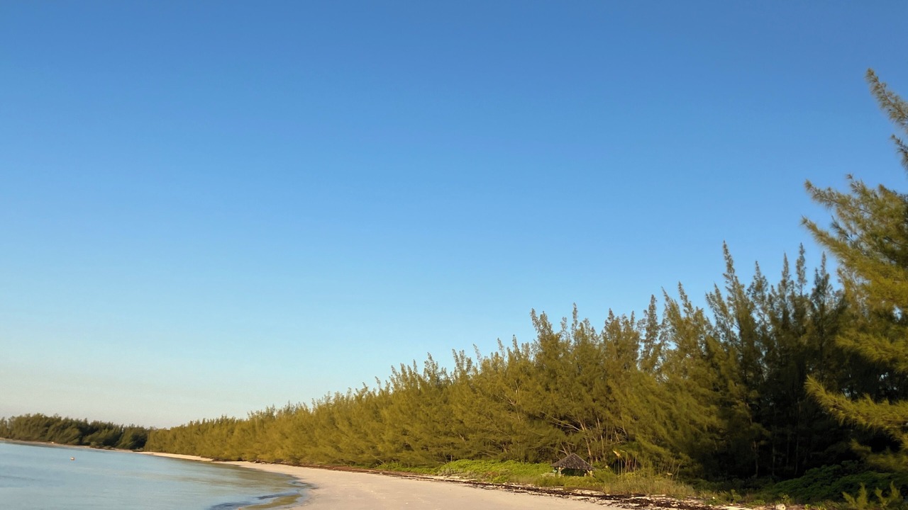 Photo of Others in Bahama Palm Shores