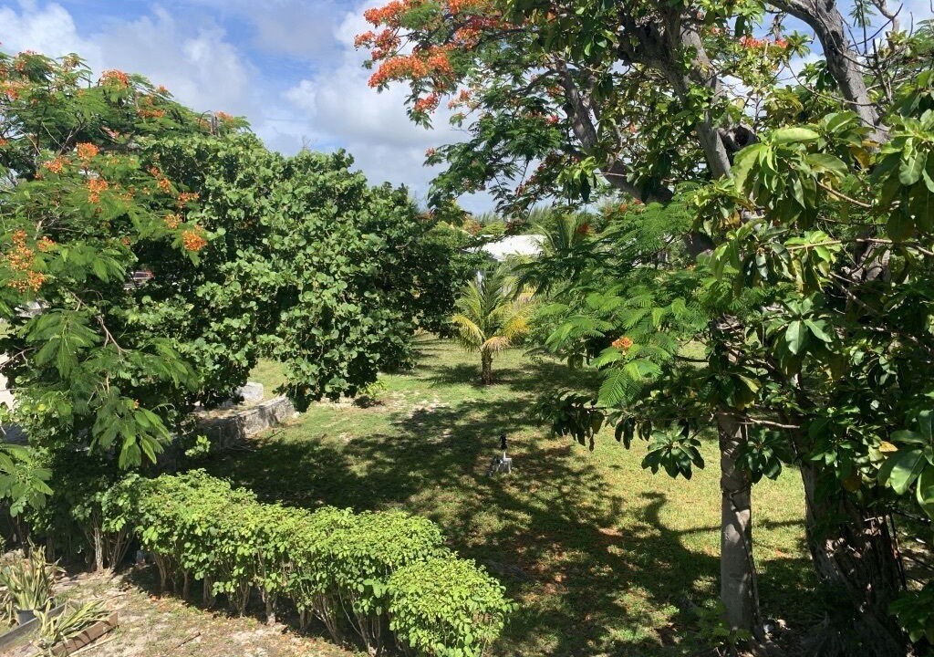 Photo of Outdoor in Windsor Park