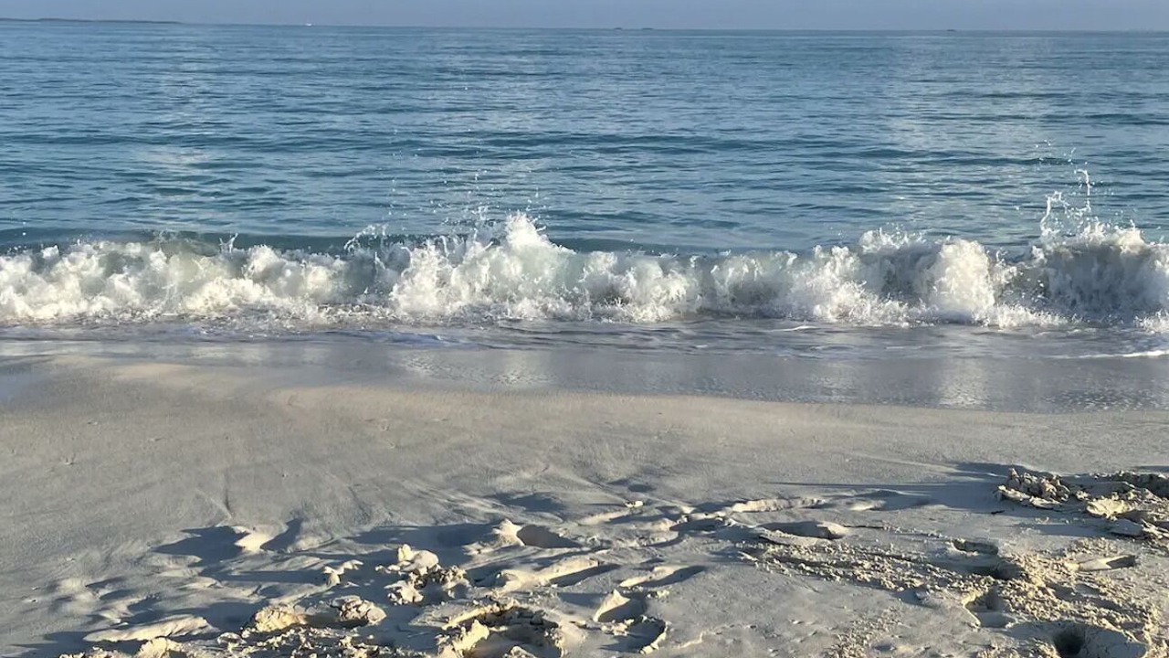 Photo of Others in Treasure Cay