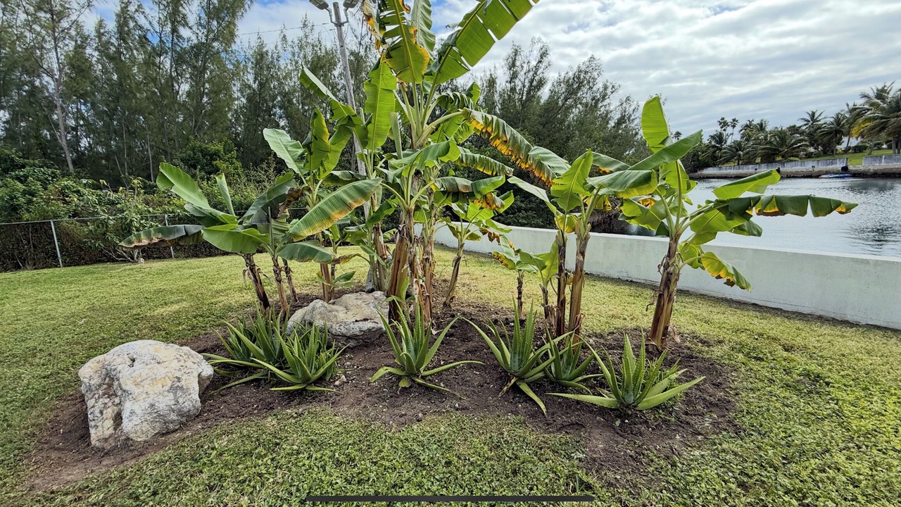 Photo of Outdoor in Williams Town