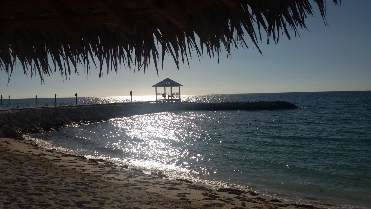 Photo of Others in Palm Cay