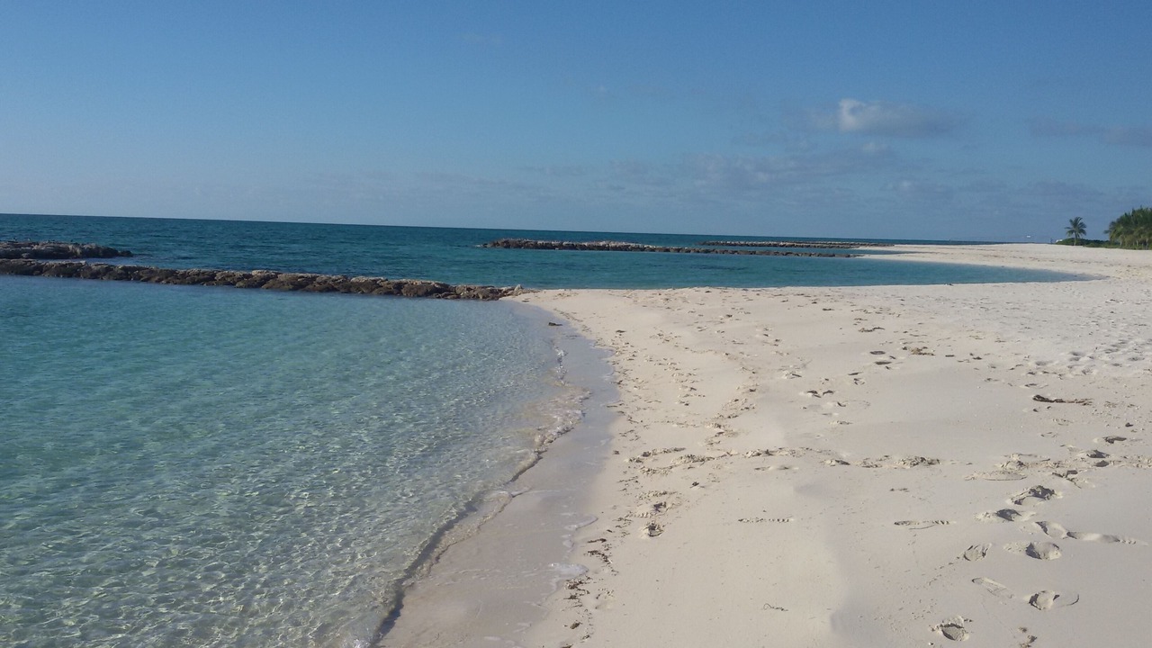 Photo of Others in Palm Cay