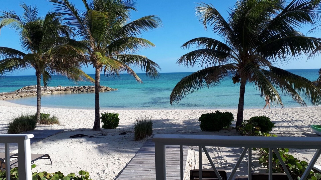 Photo of Others in Palm Cay