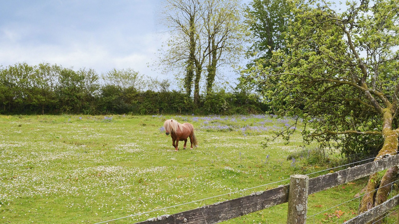 Photo of Outdoor in Saint Ann's Chapel