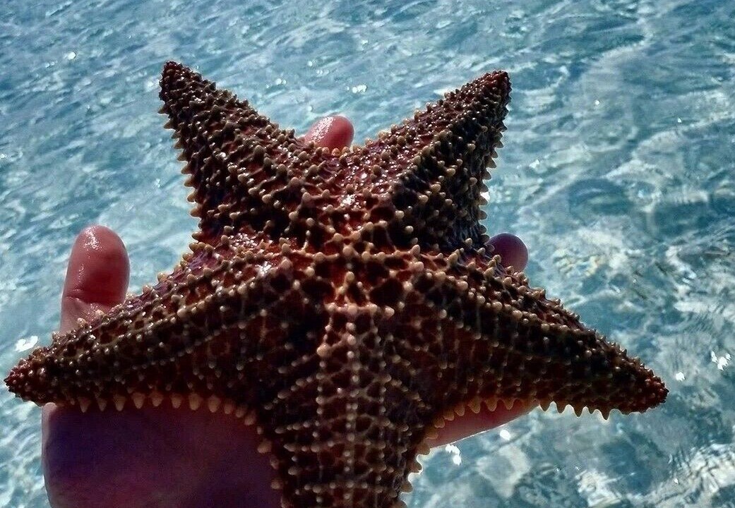 Photo of Others in Treasure Cay