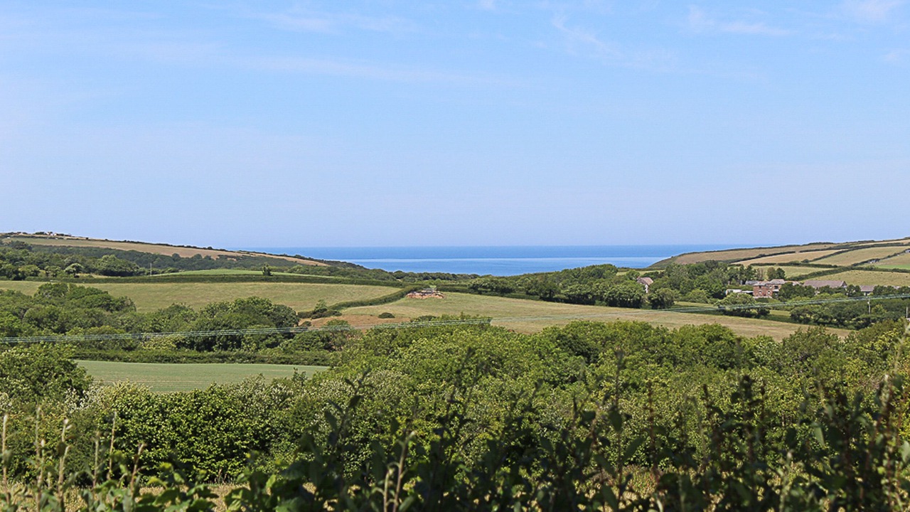 Photo of Others in Widemouth Bay